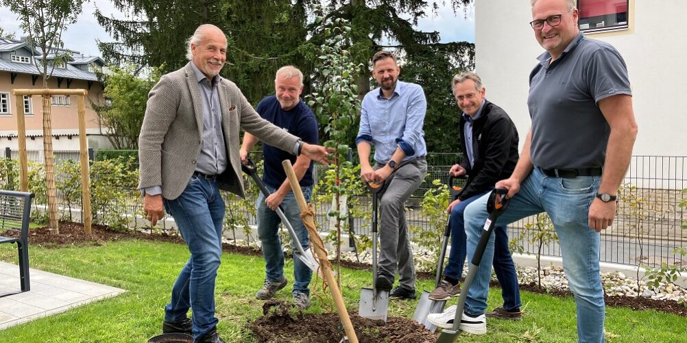 23_SB_AbnahmeBaumPflanzen